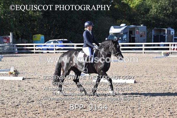 BPP_9144 - LONG ARENA
