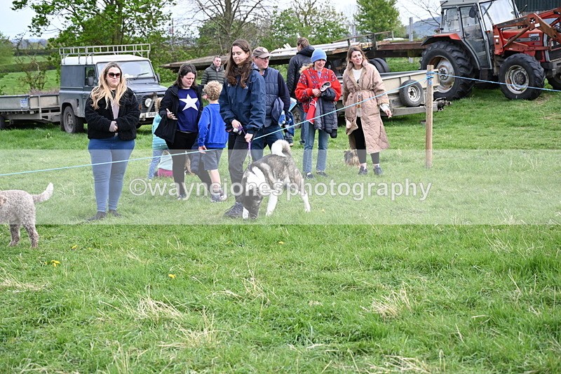 WJ6_8484 - Class 6 Best Rescue