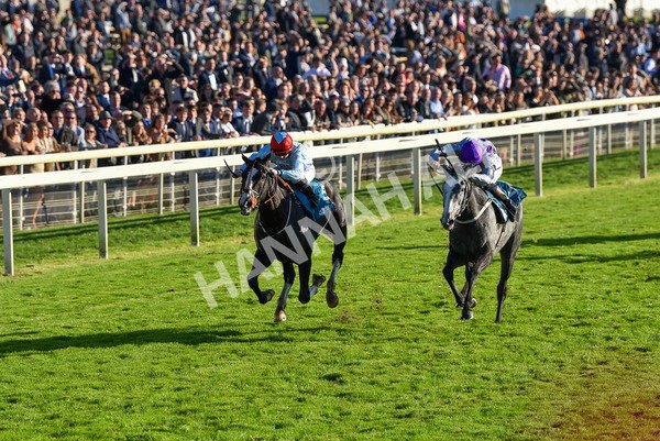 141023-Race 6-Punctuation-1495 - Race 6 4.10pm Coral Get Closer To The Action Handicap