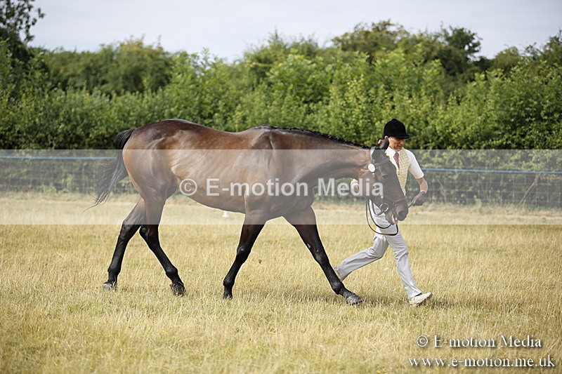 _C7A9350 - BVRC Sow 2018 Ring 2