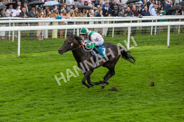 130724-Race 2-Starlust-1984 - Race 2 2.35pm John Smith's City Walls Stakes