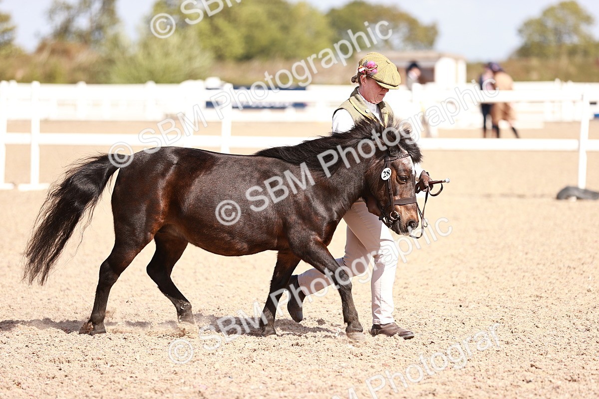 SBM_22999 - Class 707 - IH groom Helpers Class