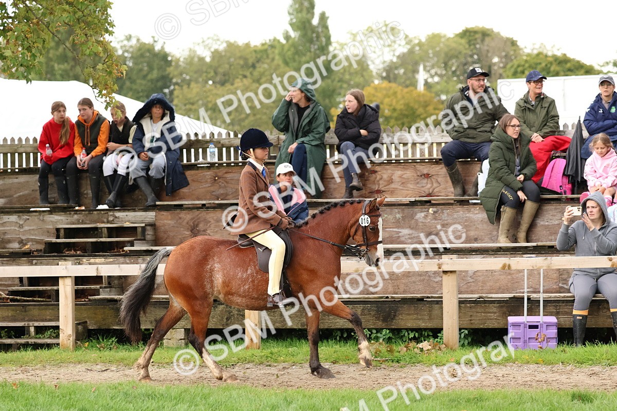 SBM_44980 - S27 - Young Veteran Ridden