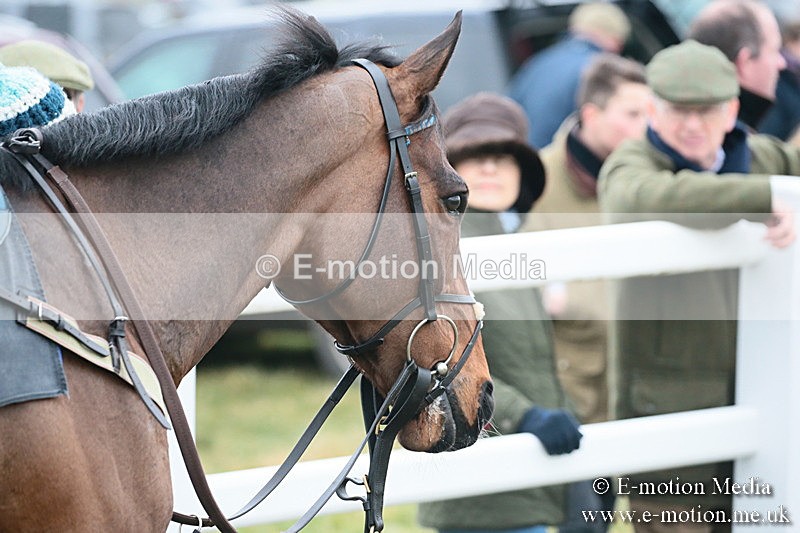 PtP 170219 -521 - Combined Services Point-To-Point Larkhill 17/02/19