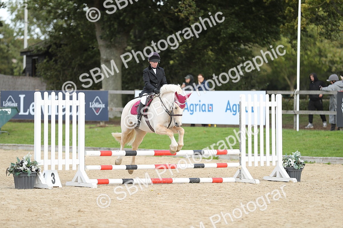 SBM_06417 - J29 - Senior Horse & Pony 65cm Championship