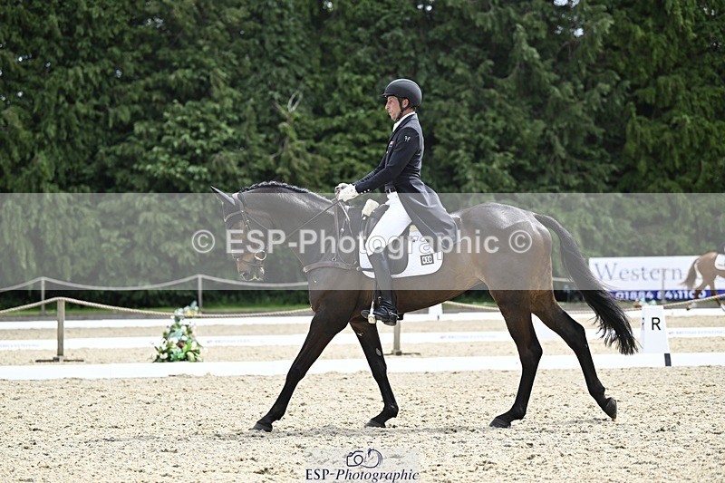 000101-190359-03838 - 426-VISCOUNT_VIKTOR-Tim_Price