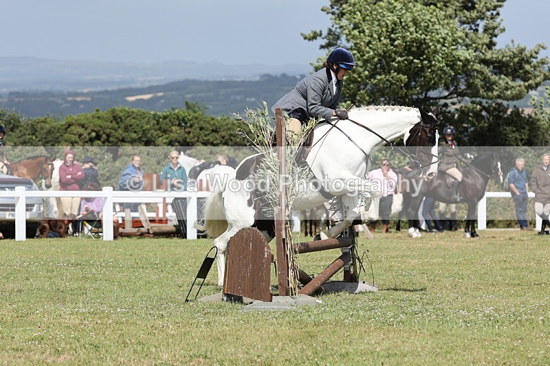 JPP_2195 - Class 19: Working Hunter 60cm