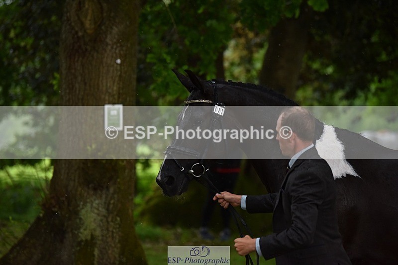 240522-151358-00187 - 377-HONEYBROOK_EXTRA_SPECIAL-Tom_Rowland