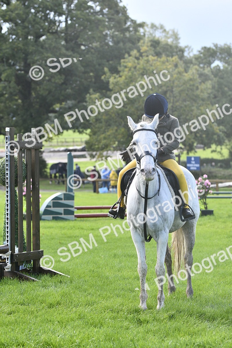 SBM_37216 - S31 - Novice & Newcomer Working Hunter Pony