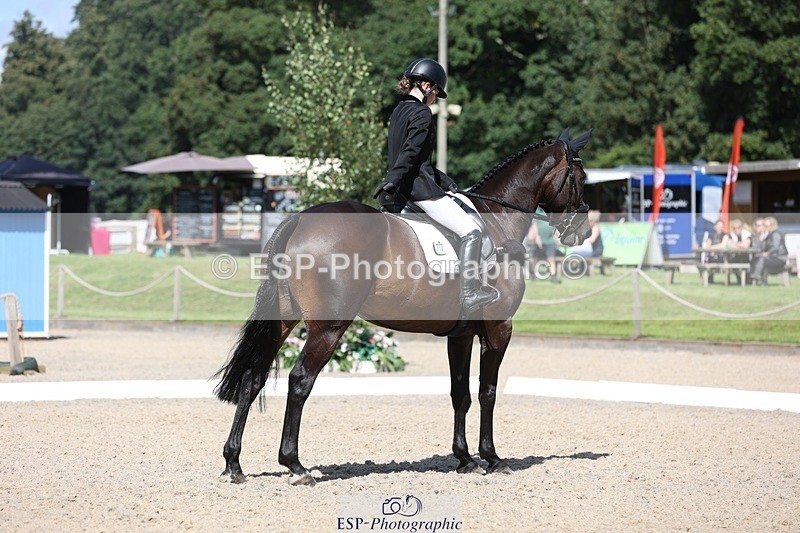 230811-112159-00825 - Cls 1 Prelim Bronze 11.10 to 12.35 break