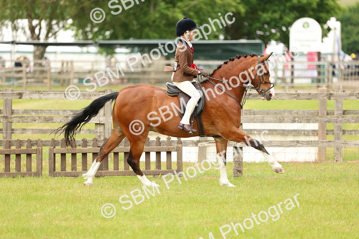 SBM_10447 - Class 44-45 - LIHS BSPS Open Nursery and Cradle Stakes