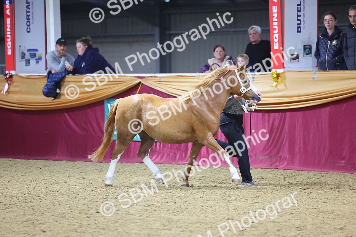 SBM_18938 - Class F Grass Roots Champ