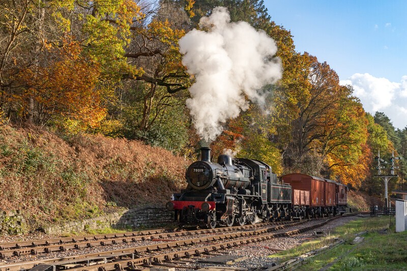 The Afternoon arrival - The Lure of Steam Latest Images