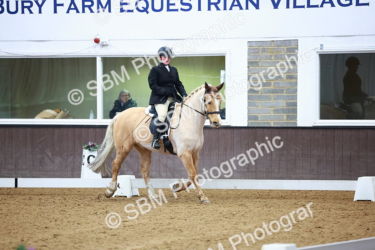 SBM_002768 - Novice Music