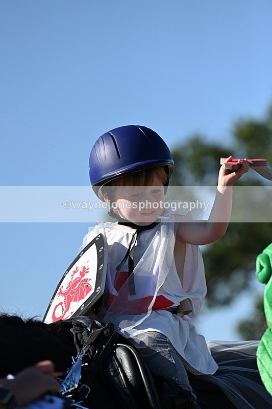 WJ7_2695 - Class 45 Fancy Dress (My Fav)