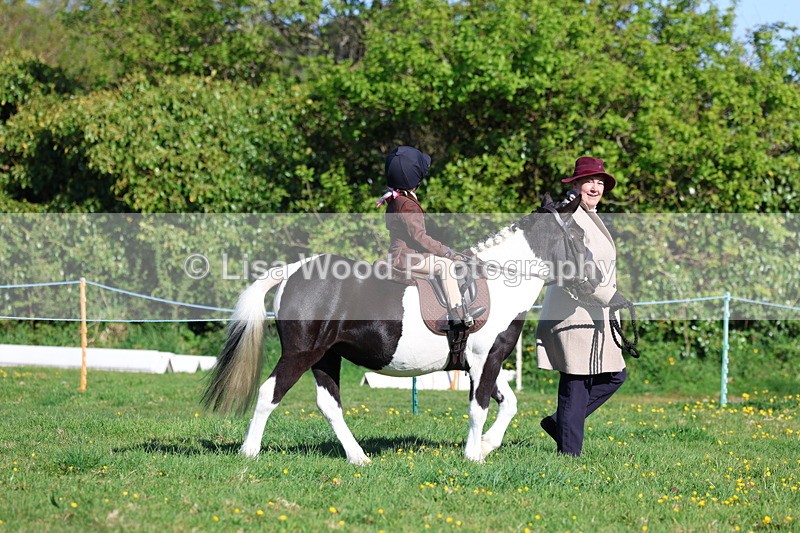 3E7A8467 - Class 2: Lead rein