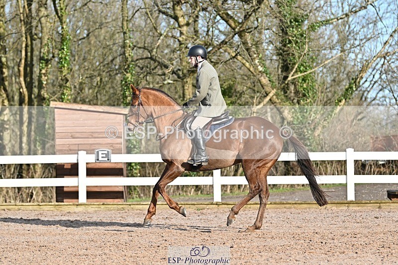 250125-102416-00167 - Dressage - CT Class 4 BE95 (80cm)