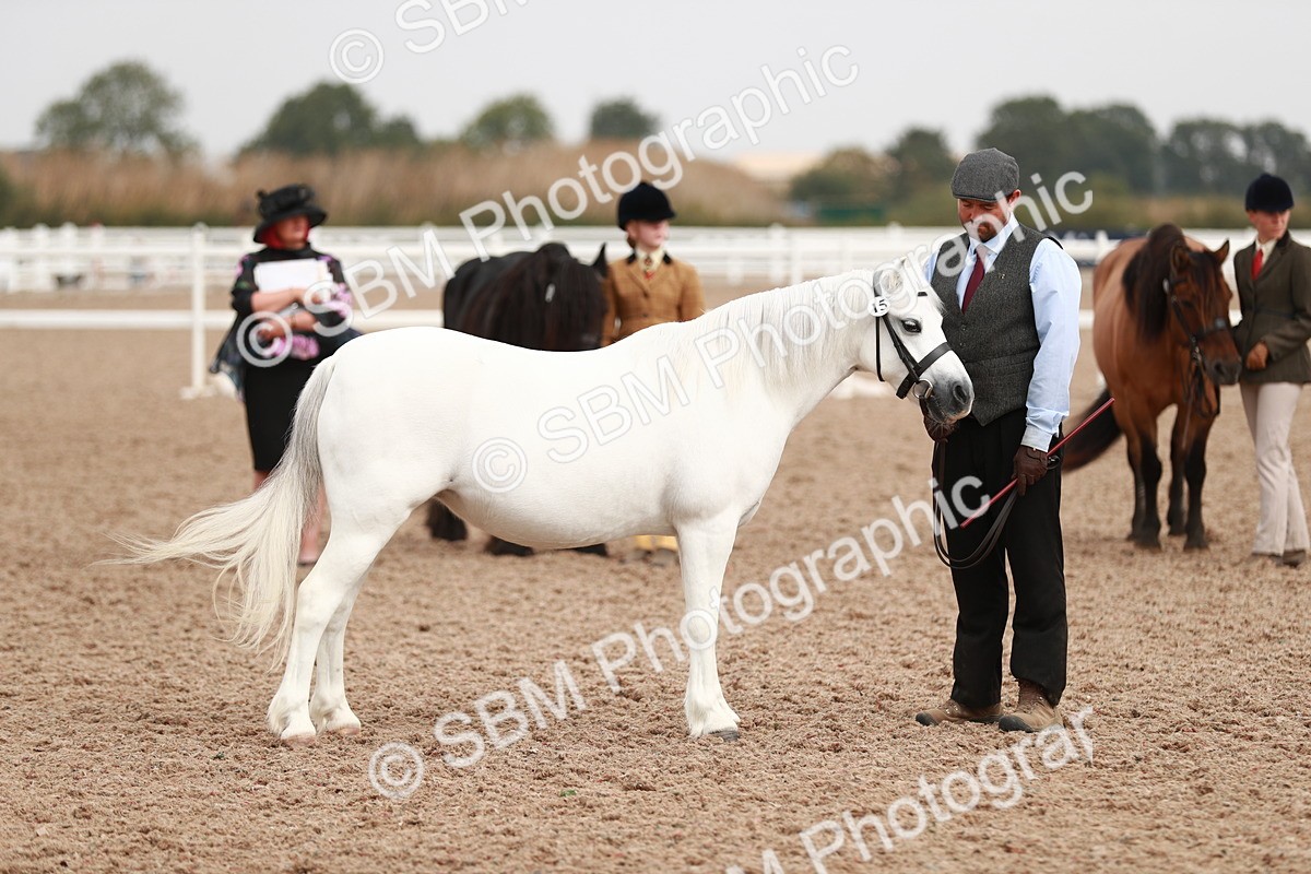 SBM_12492 - Class 207 IH M&M