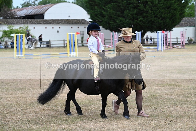 WJ7_8509 - Class 4 Prettiest Mare up to 14.2hh