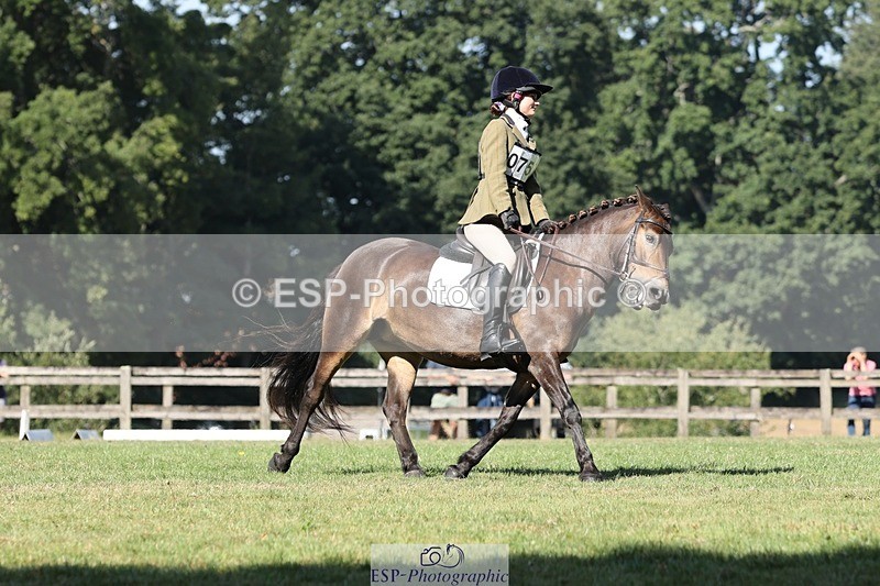 250823A-103252-27725 - Arena D