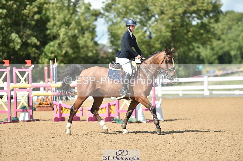 230723A-155754-13231 - Cls 16, 1 Star Bronze 1.15m