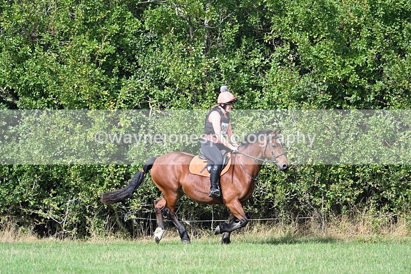 WJ7_9563 - Time 12:12 to 12:40