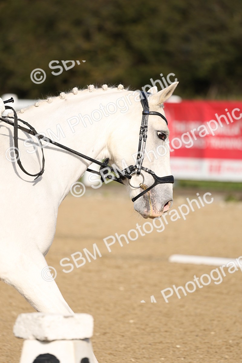 SBM_000484 - Class 1 - Prelim 4