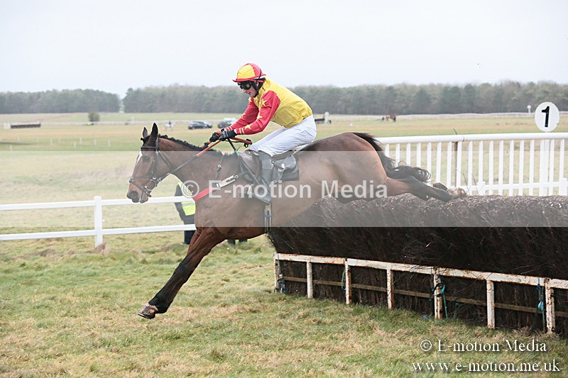 PtP 230119 434 - Royal Artillery Point-to-Point  - Larkhill  - 26/01/19