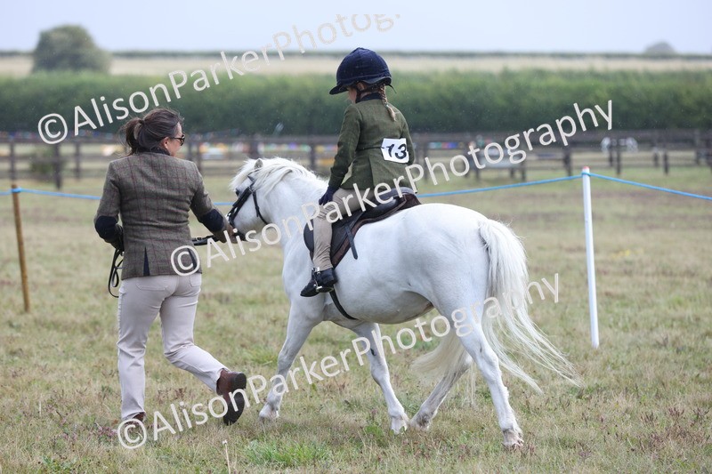 20250831-2422 - Class 16 - Family Pony