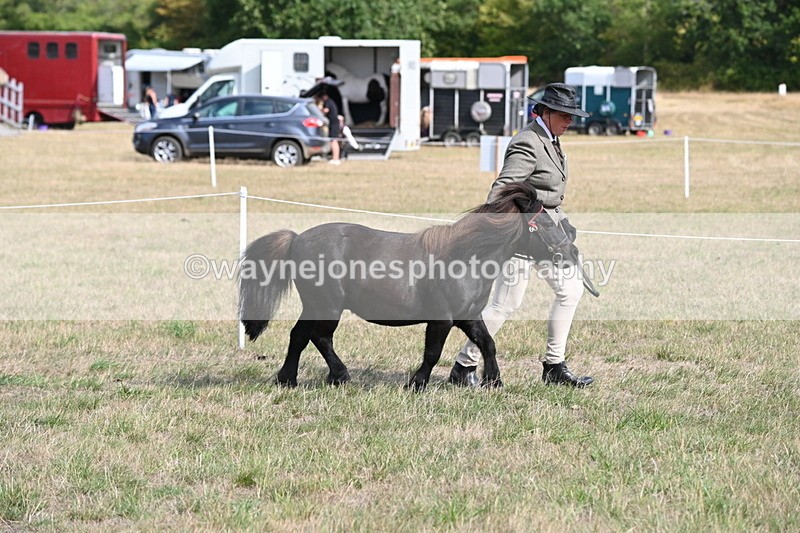WJ6_6820 - Class 21 Shetland & Mini Horses