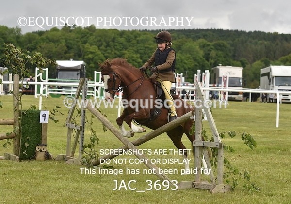 JAC_3693 - 75CM WORKING HUNTER