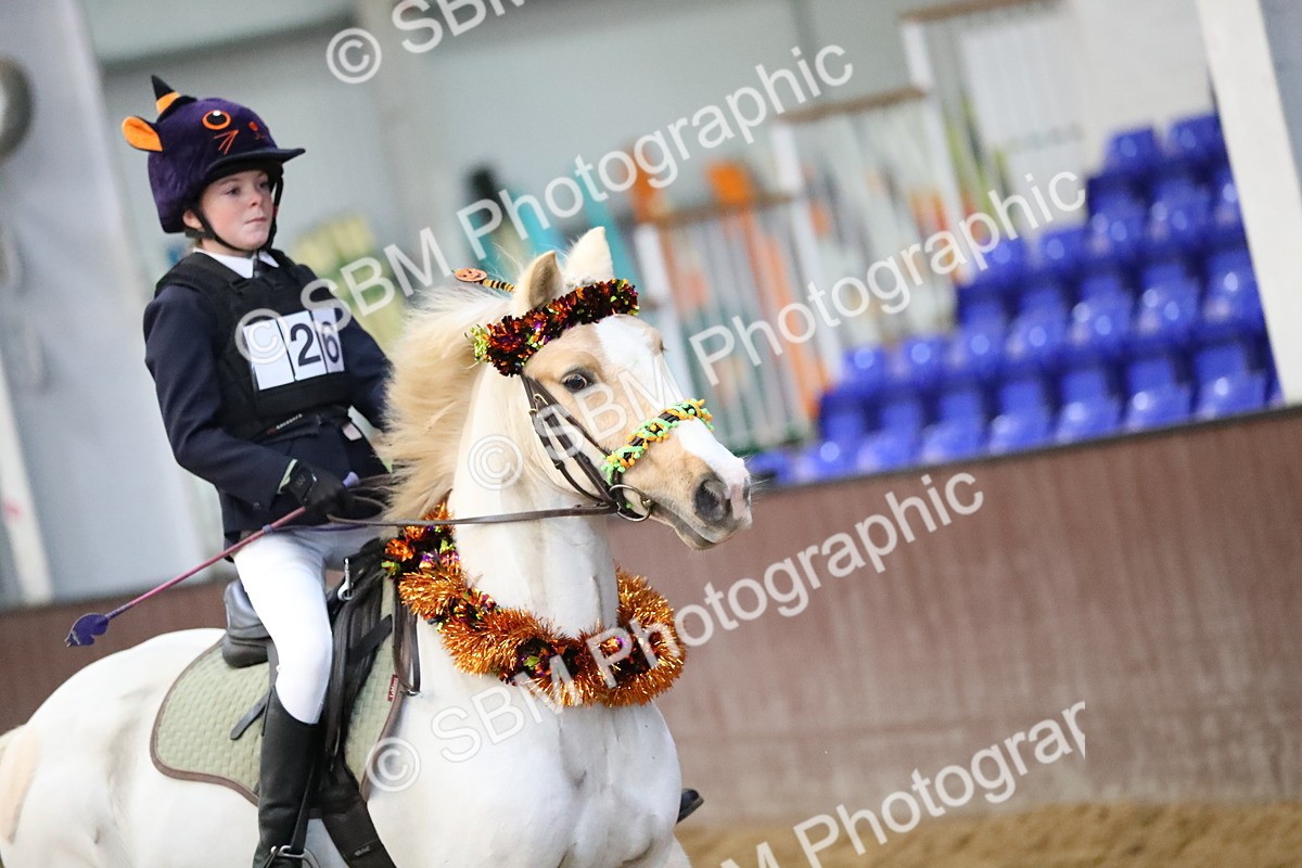 SBM_000133 - Class 1 - Show Jumping 50cm