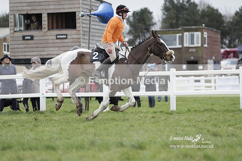 PtP 260323 0257 - New Forest Hounds Point-to-Point Larkhill 26/03/23