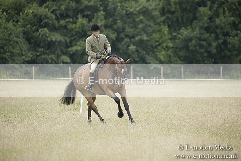B230619-0706 - Bourne Valley Riding Club Summer Show 23/06/19