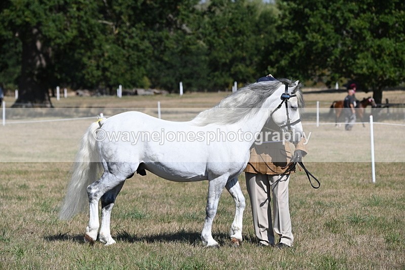 WJ6_4315 - Class 16 Condition & Turn Out