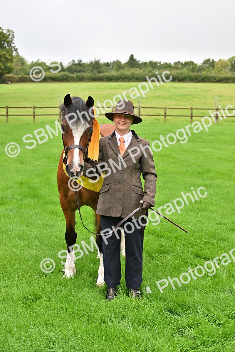 SBM_32659 - S15 - Top Turnout In Hand