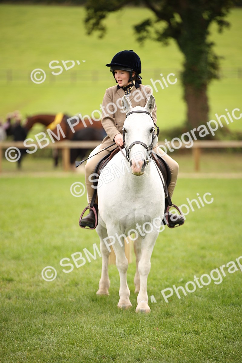 SBM_72367 - S67 - Show Cob Ridden