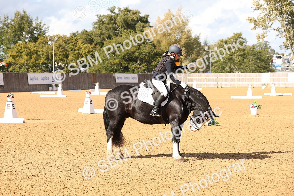 SBM_47501 - D12 - Small Tour Championship prelim 2