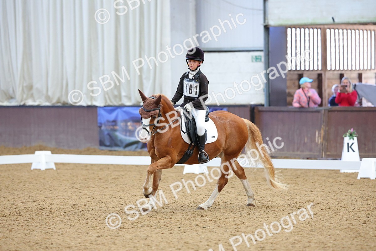 SBM_002962 - Novice