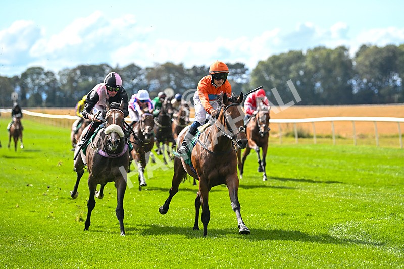 290825-Race 3-Be The Standard-8603 - Race 3