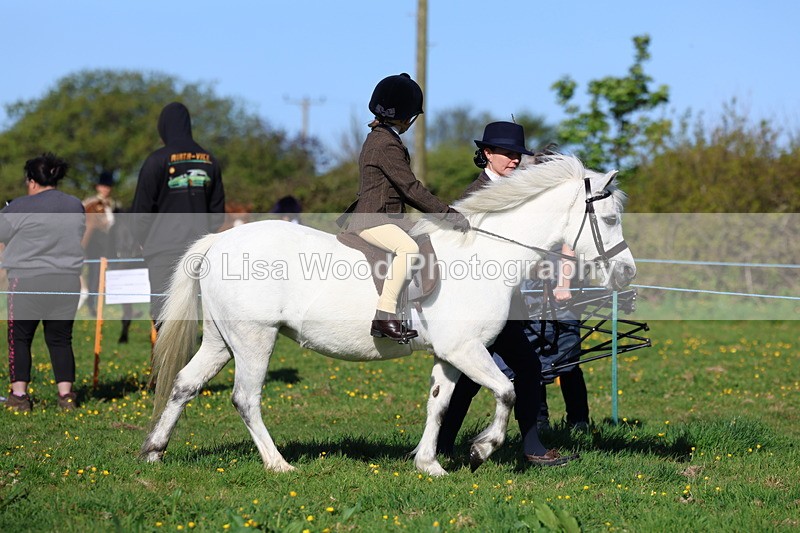 3E7A8477 - Class 2: Lead rein