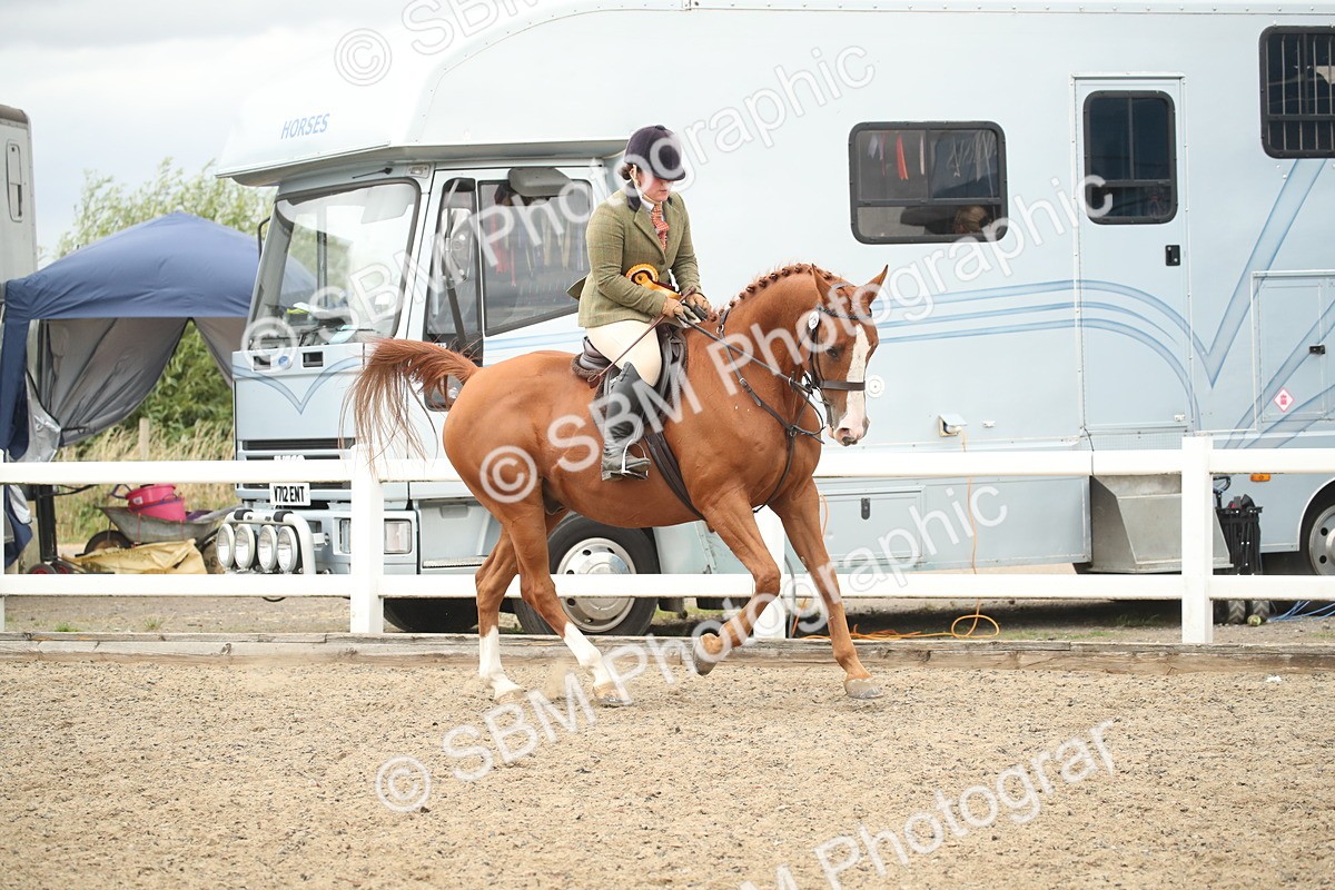 SBM_18490 - Class 510a - Working Veteran 90cm (15-19)