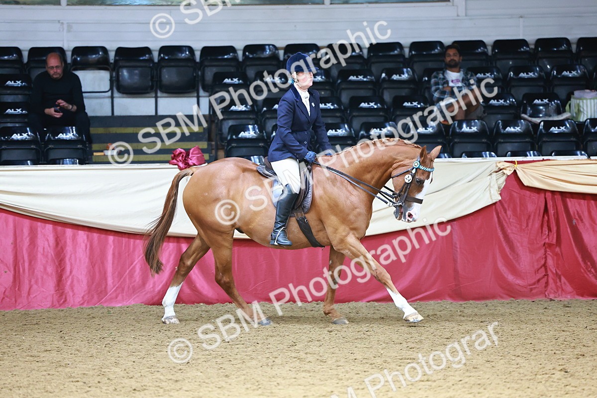 SBM_23825 - Class 905 - Supreme Final - Ridden Veteran