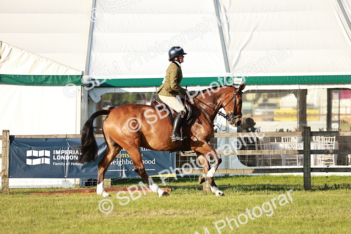 SBM_20461 - Class 117-119 - Sport Horse Working Hunter