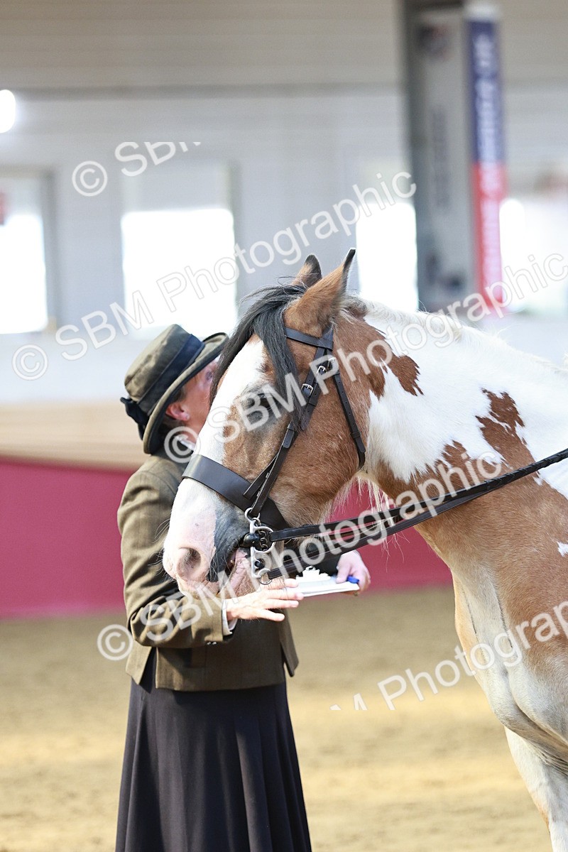 SBM_07100 - Class 10R - Regional Ridden Diamond