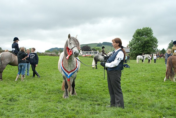 24 - Moniaive Horse Show 2010