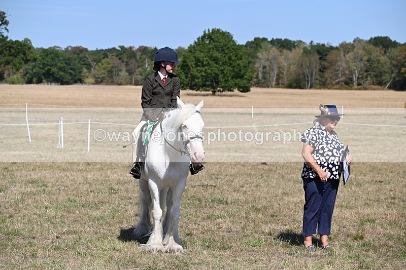 WJ6_9083 - Class 38 Ridden Riding Horse/Pony