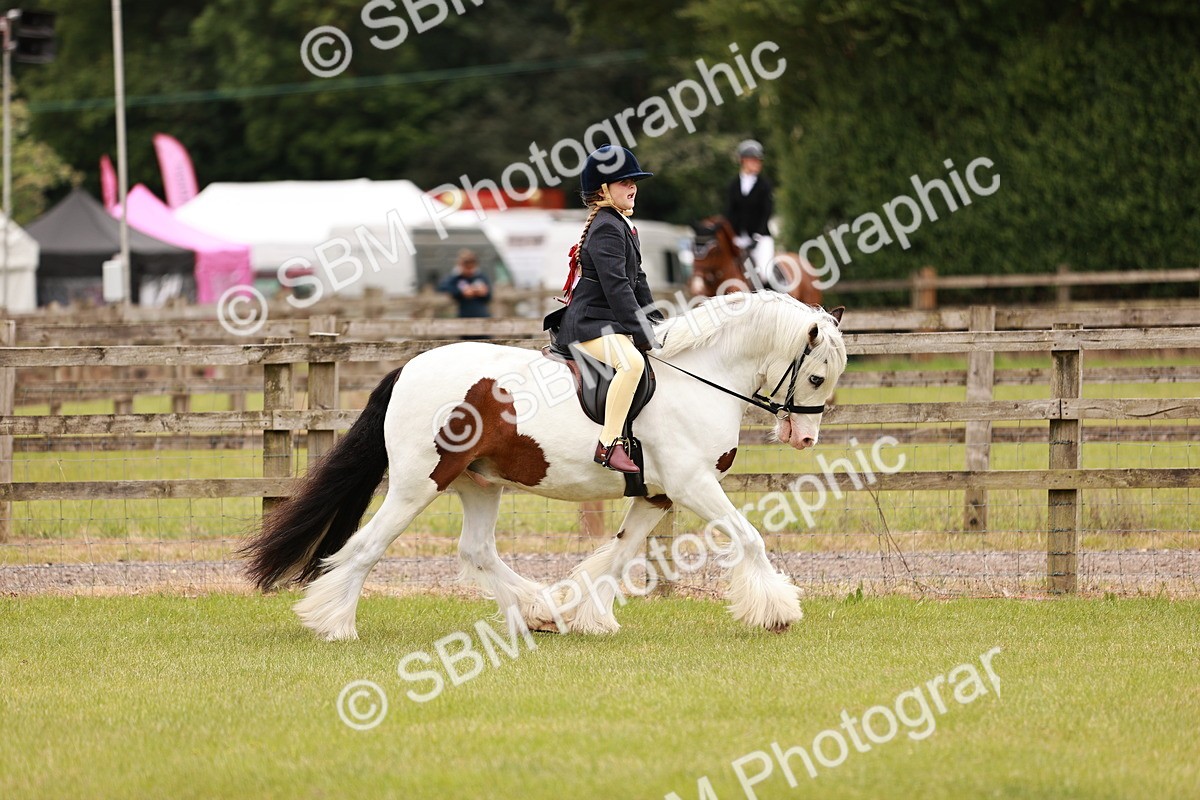 SBM_06233 - Class 39-41 TGCA In Hand and Ridden