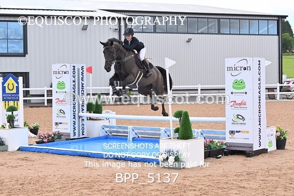 BPP_5137 - CLASS 8 THURS HOYS GFS Saddles Senior Newcomers Second Round