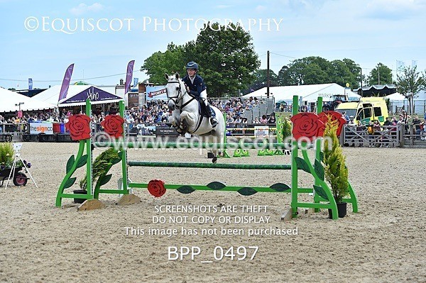 BPP_0497 - RHS 2019 Selection - *Just some random spectator shots so Lucky Dip if you are there!